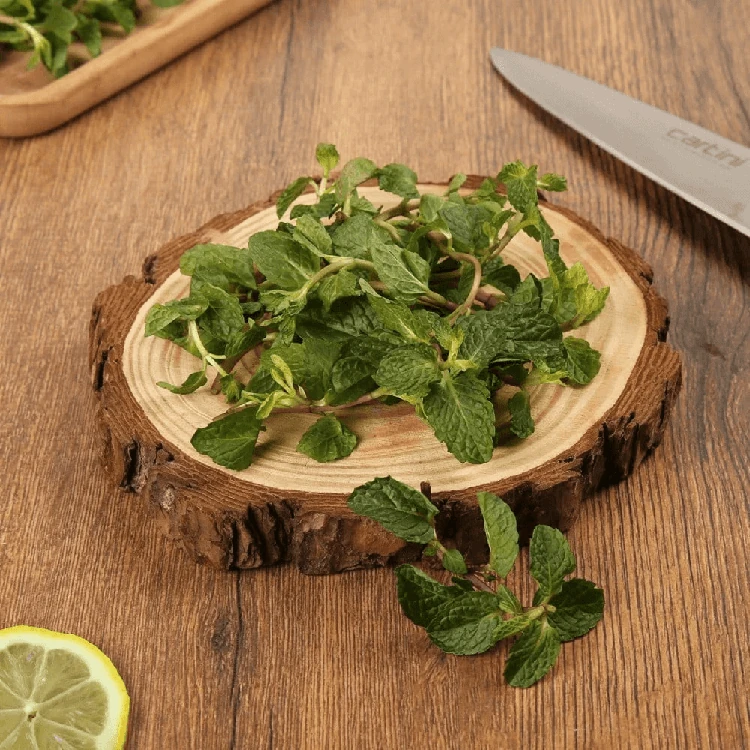 Organically Grown Mint Leaves - 100 g