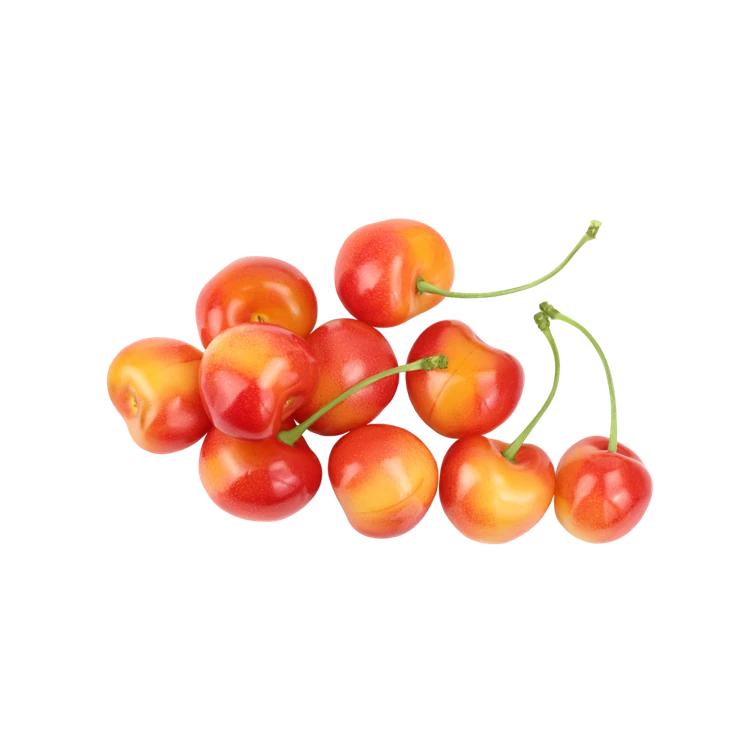 Red Cherry - Indian (Kempu Cherry)