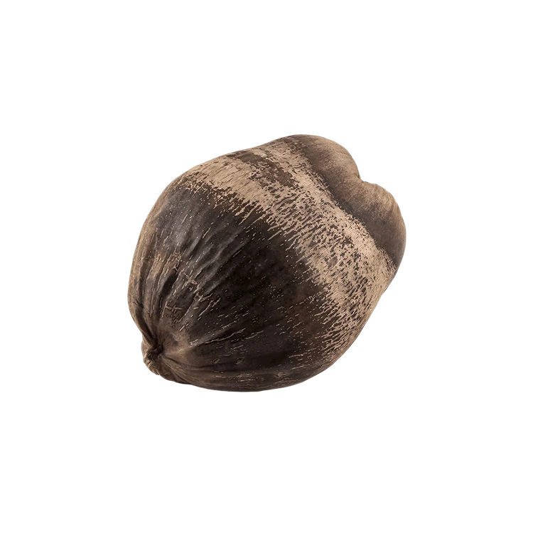 Chhath Pooja Coconut (Thengina Kayi)