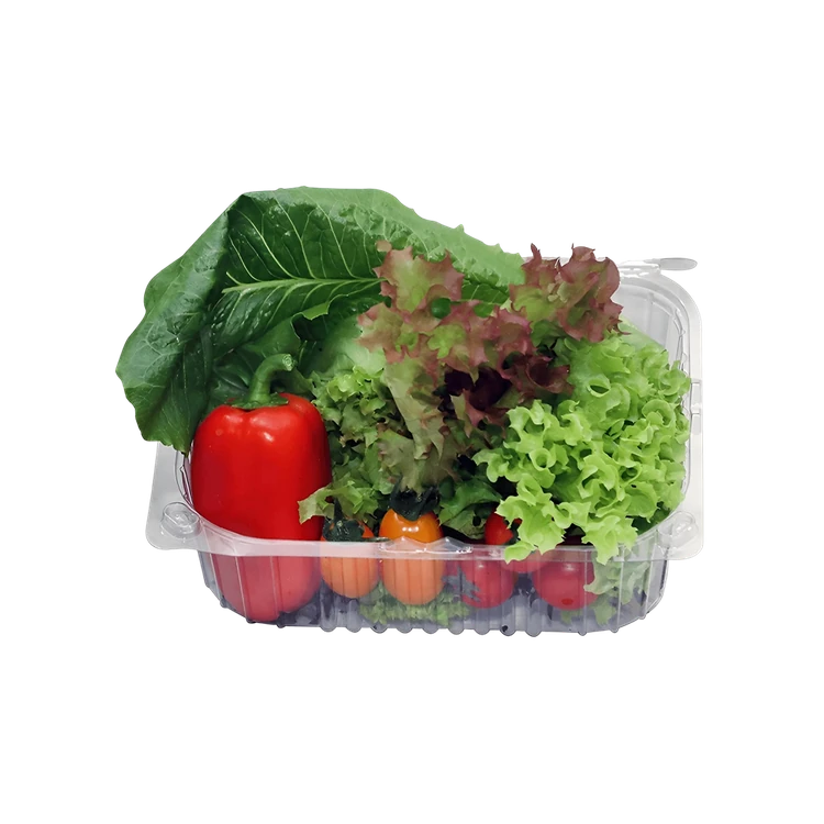 Exotic Vegetable Salad - Hydroponically Grown (Tarakari Salad)