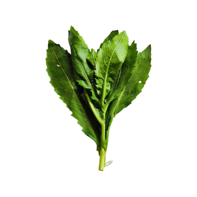 Safflower Leaves (Kardai bhaji)