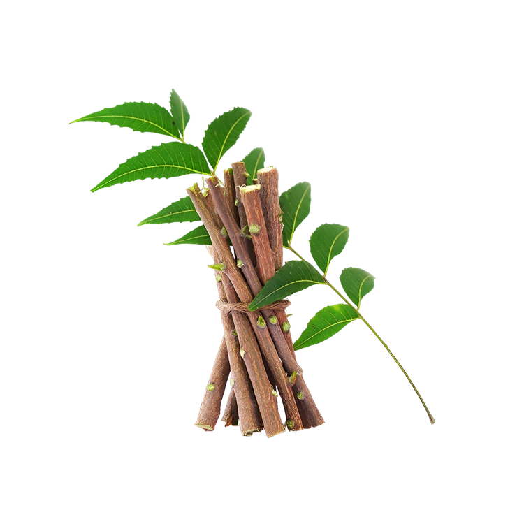 Neem Sticks (Bevu Kaddi)