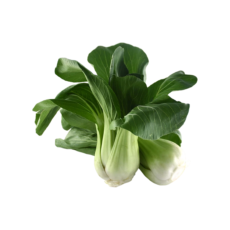 Bok Choy