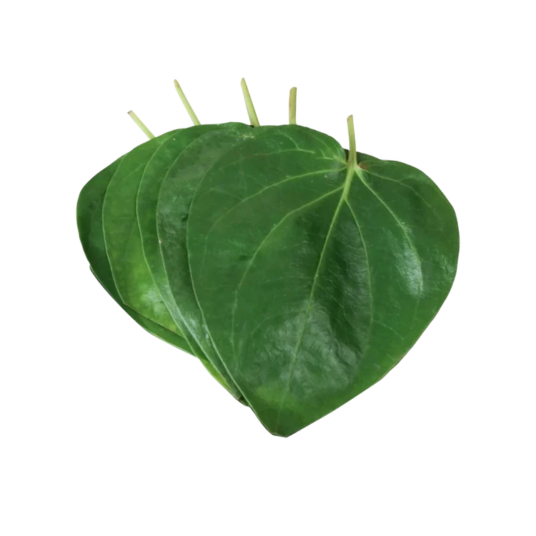 CC Betel Leaves by Freshbury (Veelyadele)