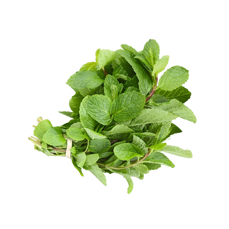 Mint Leaves Hydroponically Grown (Pudina Soppu)