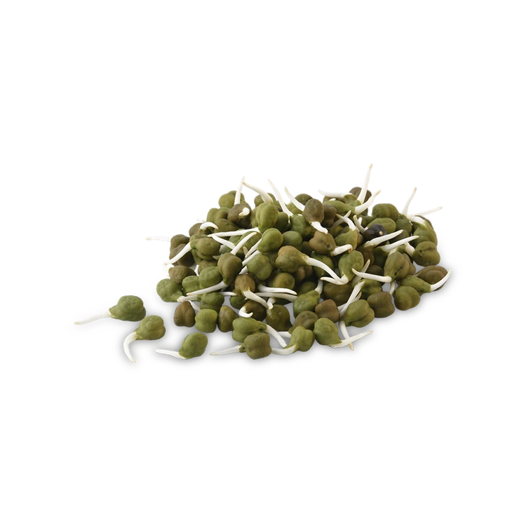 Green Chana Sprouts (Packet) (Molke Kalu)