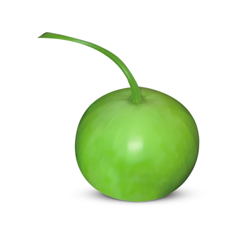 Round Bottle Gourd (Sore Kayi)