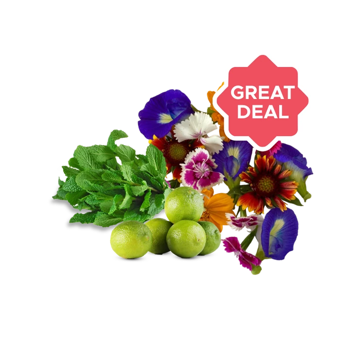 Mint Leaves + Lemon by Freshbury + Edible Flowers Mix Combo