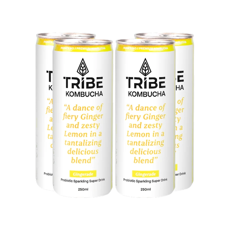 Tribe Kombucha Gingerade Probiotic Sparkling Drink