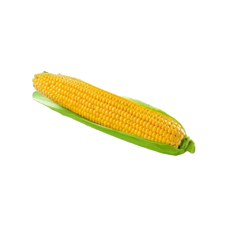 Corn Cob (Bhutta)