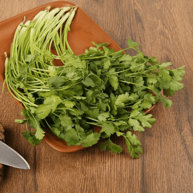 Organically Grown Coriander - 100 g