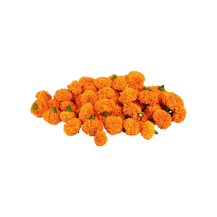 CC Orange Marigold Flowers Freshbury (Hoovu)