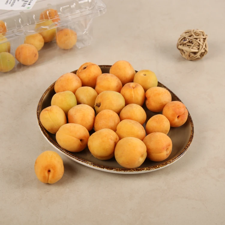Fresh Apricots - Packet