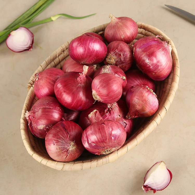 Onion (Eerulli)