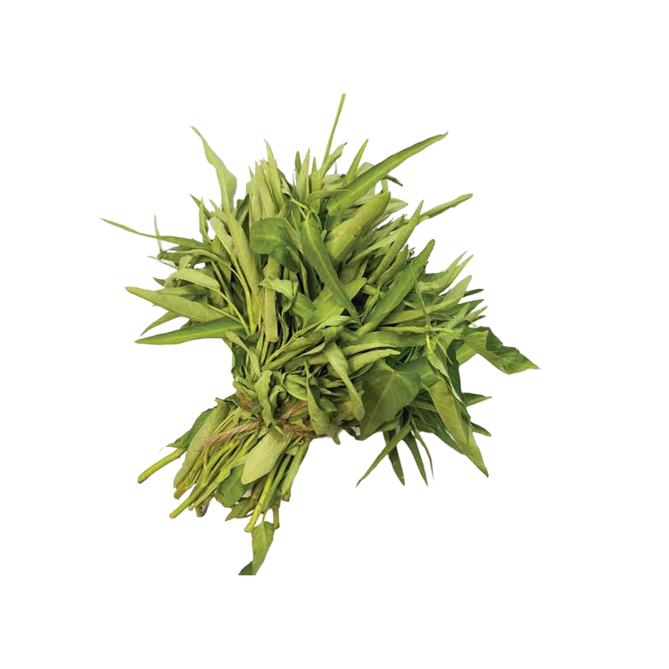 Morning Glory Kang Kong