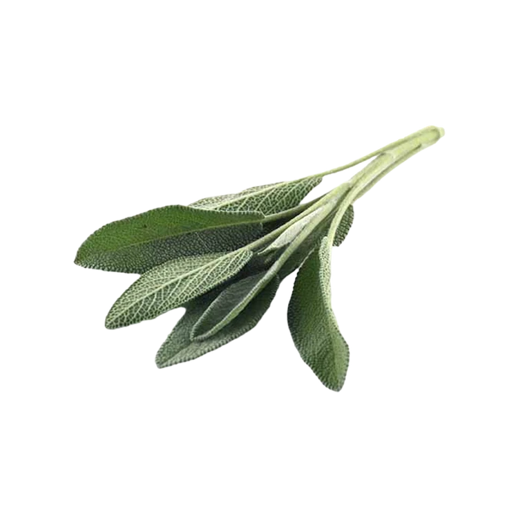 Sage Leaves