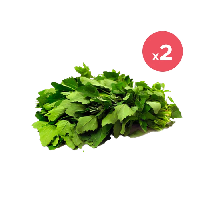 Chenopodium - Pack of 2 (Kudukuru)