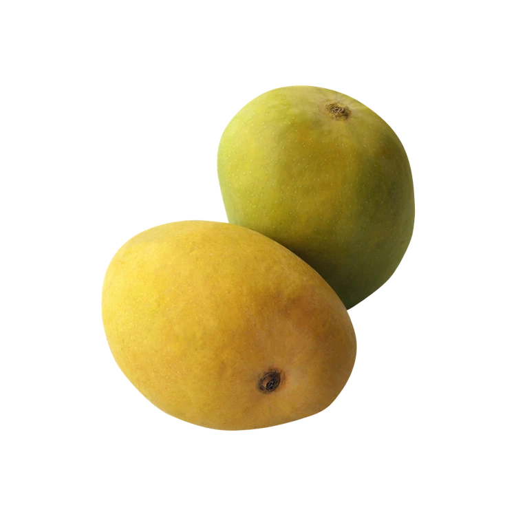 Badami Mango (Karnataka Alphonso) (Maavina Hannu)