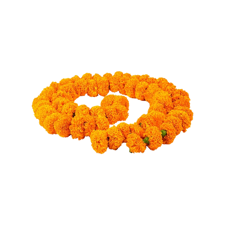 Marigold Flower String / Garland - Special Offer