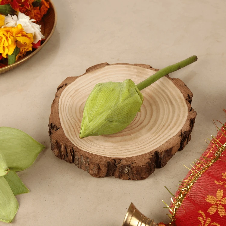 White Lotus Flower Special Offer