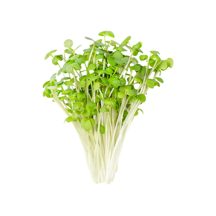 Mustard Leaves Microgreens