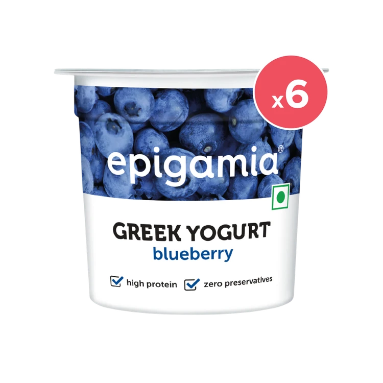 epigamia Blueberry Yogurt - Pack of 6