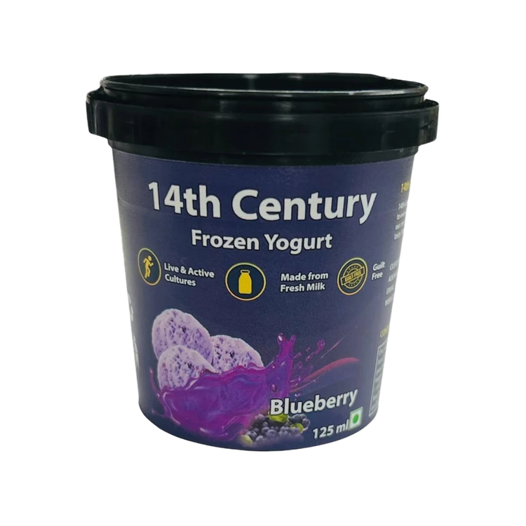 14th Century Blueberry Frozen Yogurt