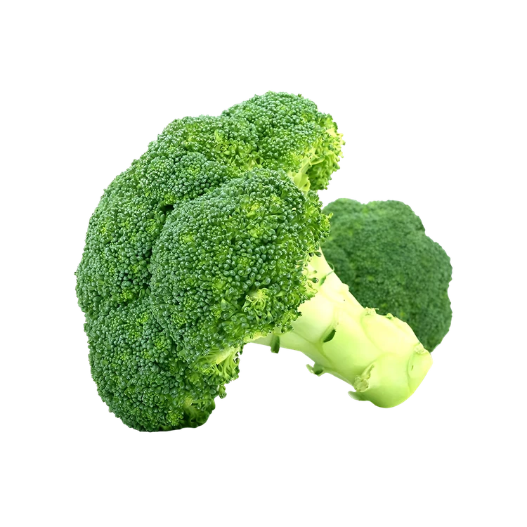 Broccoli - Hydroponically Grown (Kosugadde)