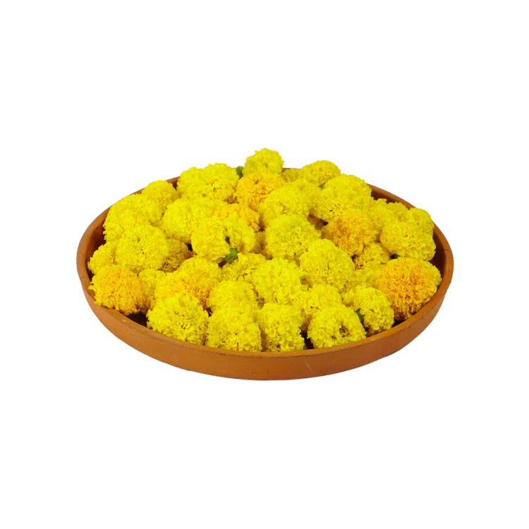 Marigold Special Offer