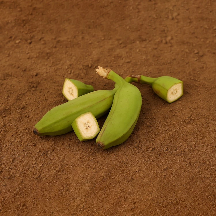 Organically Grown Raw Banana - 2 pieces (Baale Kayi)