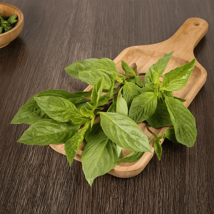 Thai Sweet Basil Leaves (Tulasi Yelegalu)