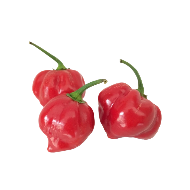 Habenaro Pepper - Hydroponically Grown (Menasina Kalu)