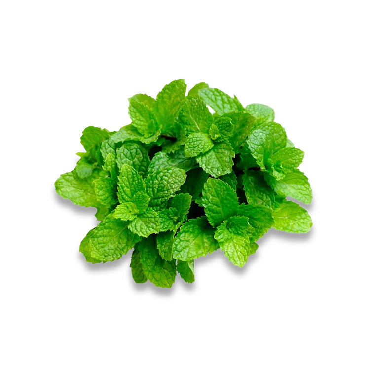 Mint Leaves (Pudina Soppu)