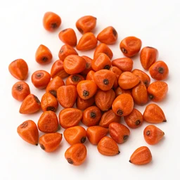 Annatto Seed