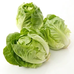 Artisan Lettuces Heads by Tanimura & Antle