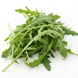 Arugula, Raw