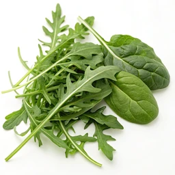 Arugula & Spinach Bymarketside