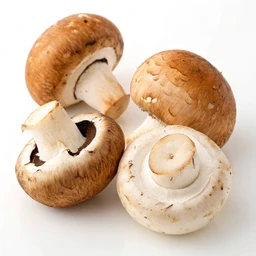 Baby Bella Mushrooms