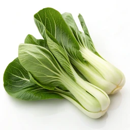 Baby Bok Choy by Jade