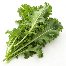 Baby Kale
