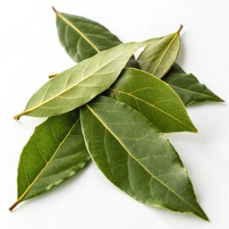 Badia Bay Leaves