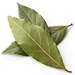 Bay Leaf