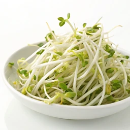 Mung bean sprouts, raw