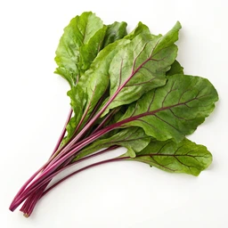 Beet greens, raw