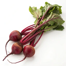 Beets
