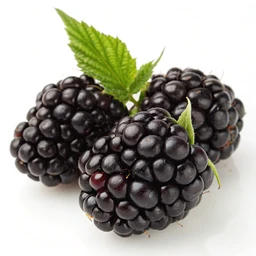 Blackberries, Fresh