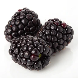 Blackberries Raw