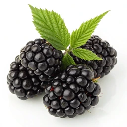 Blackberries