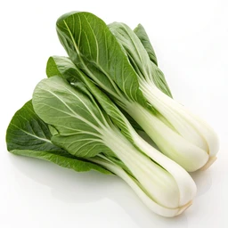 Bok choy