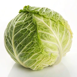 Cabbage, Green, Cooked
